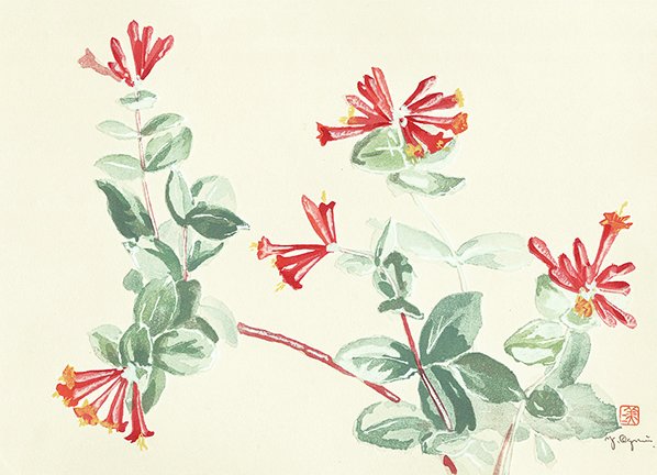 photo16.jpg