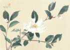 photo6_small.jpg