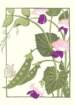 photo12_small.jpg