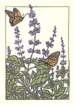 photo21_small.jpg