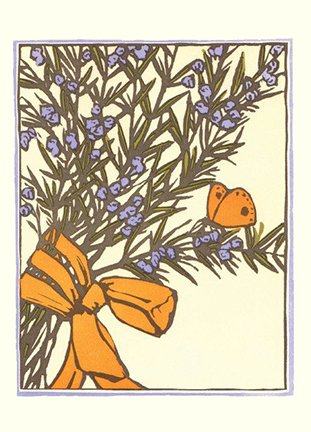 photo23.jpg