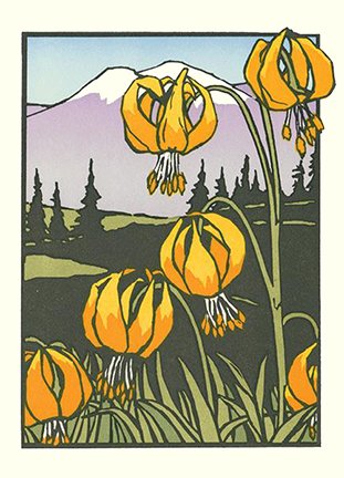 photo25.jpg