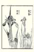 photo16_small.jpg