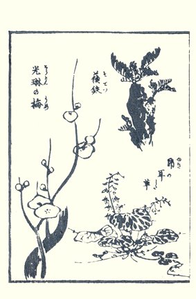 photo22.jpg