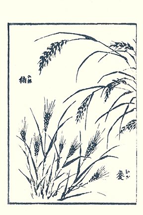 photo28.jpg