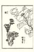photo6_small.jpg
