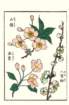photo10_small.jpg