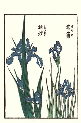 photo16.jpg