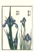 photo16_small.jpg