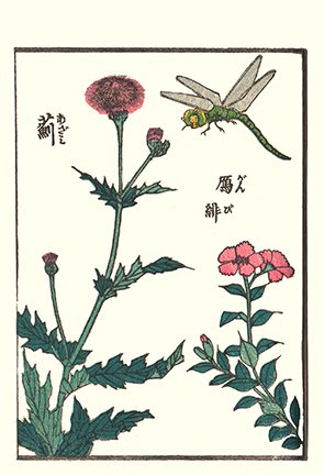 photo17.jpg
