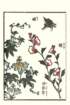 photo20_small.jpg