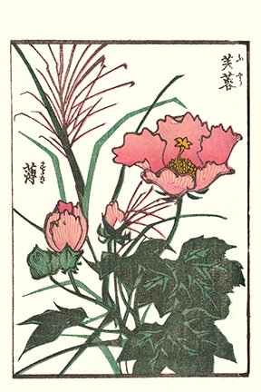 photo23.jpg