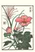 photo23_small.jpg