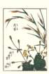 photo26_small.jpg