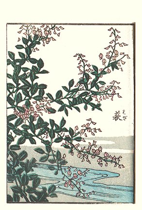 photo27.jpg