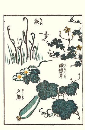photo30.jpg
