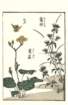 photo31_small.jpg