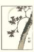 photo32_small.jpg