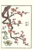 photo5_small.jpg
