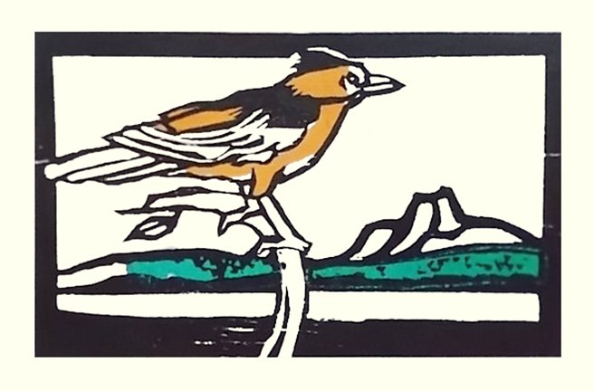 photo74.jpg