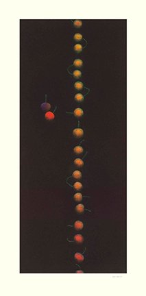 photo21.jpg