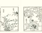 photo12_small.jpg