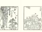 photo3_small.jpg