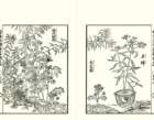 photo7_small.jpg