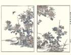 photo16_small.jpg