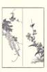 photo22_small.jpg