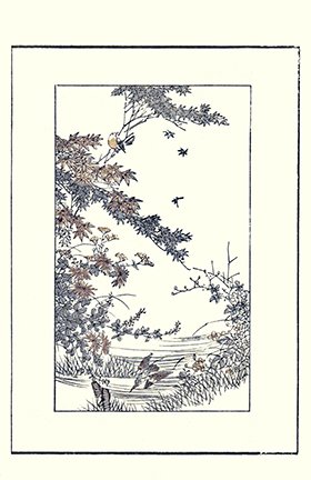 photo18.jpg