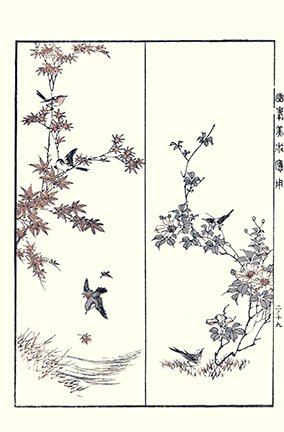 photo19.jpg