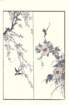 photo20_small.jpg