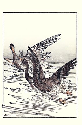 photo23.jpg