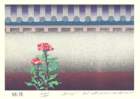 photo7_small.jpg