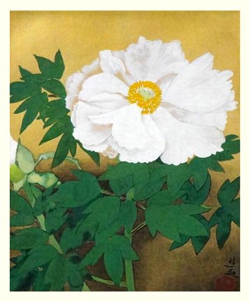 photo21.jpg