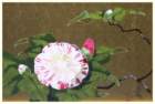 photo7_small.jpg
