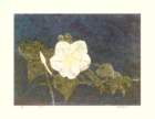 photo28_small.jpg