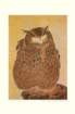 photo74_small.jpg