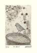 photo9_small.jpg