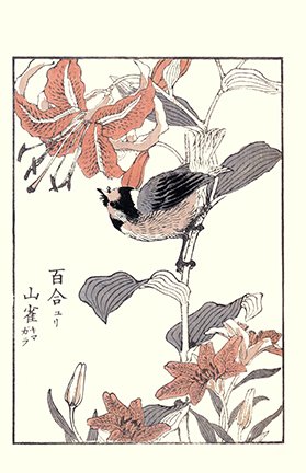 photo10.jpg
