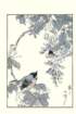 photo12_small.jpg