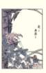 photo15_small.jpg
