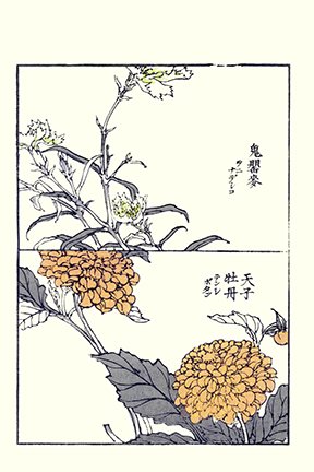 photo21.jpg