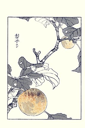 photo22.jpg