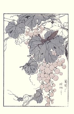 photo23.jpg