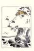 photo25_small.jpg