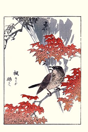photo27.jpg