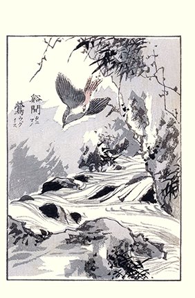 photo3.jpg
