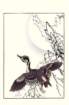 photo35_small.jpg